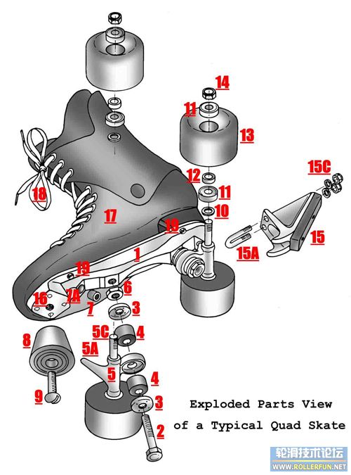 roller-skate-diagram-500x675.jpg